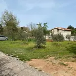 Orangina Daire