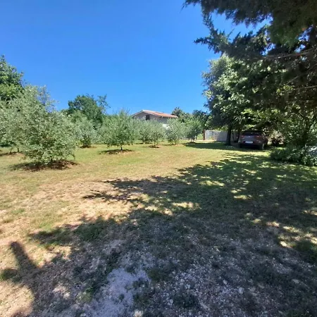 Apartament Orangina *