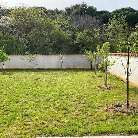 Orangina Appartement